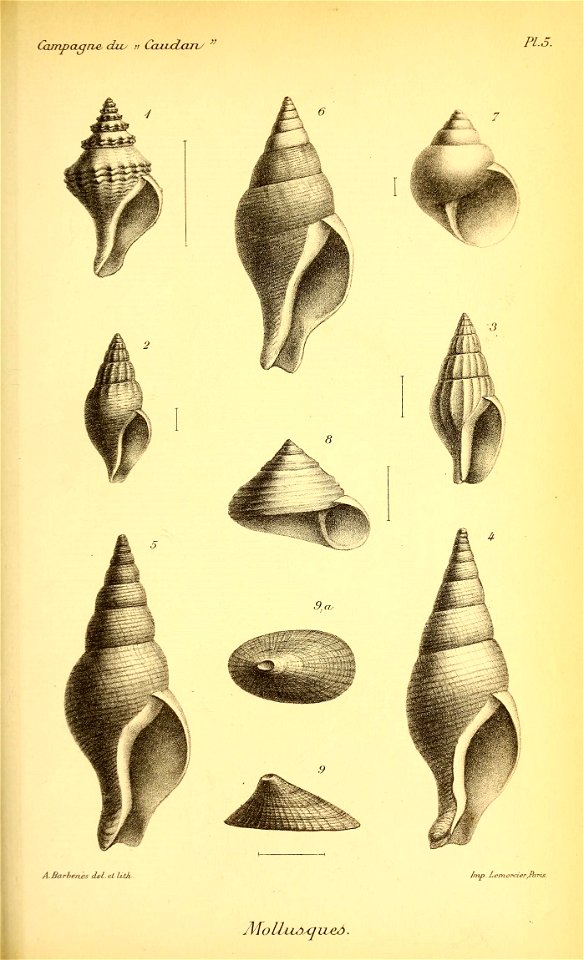 n778_w1150