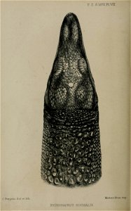 n181_w1150