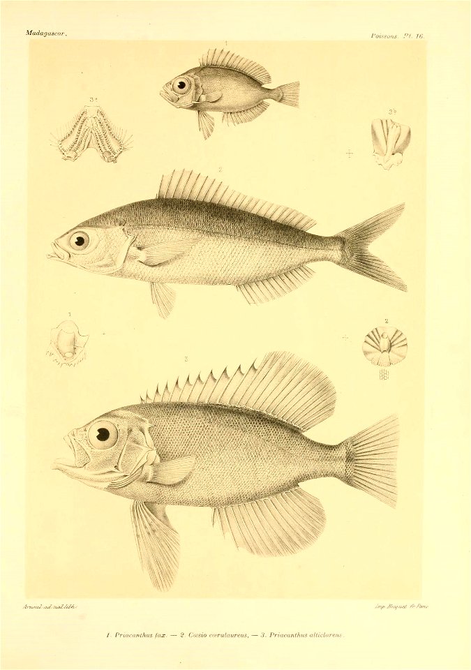 n40_w1150