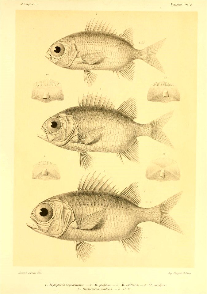n10_w1150