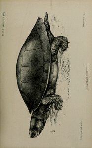 n580_w1150