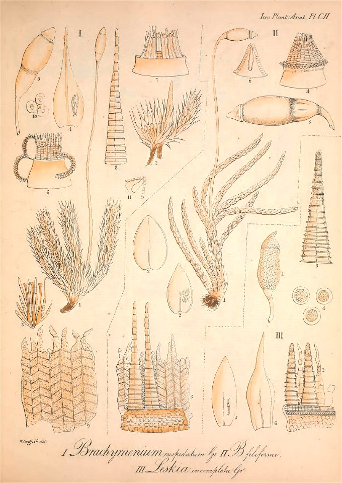 n114_w1150