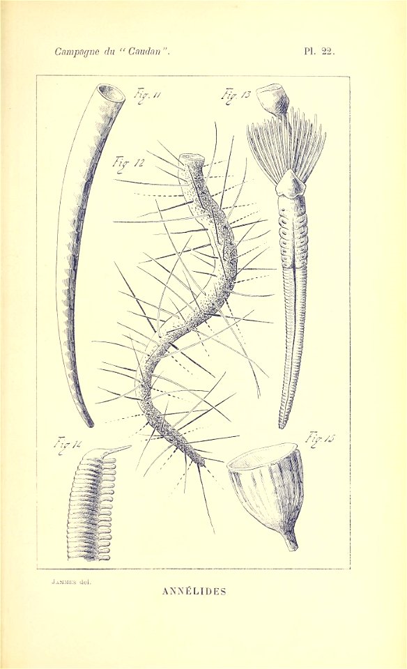 n812_w1150