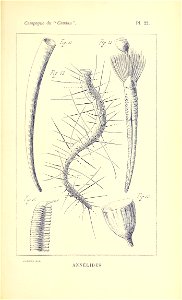 n812_w1150
