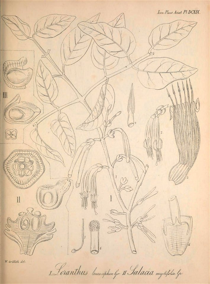 n546_w1150
