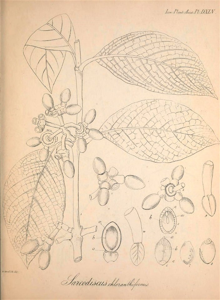 n396_w1150