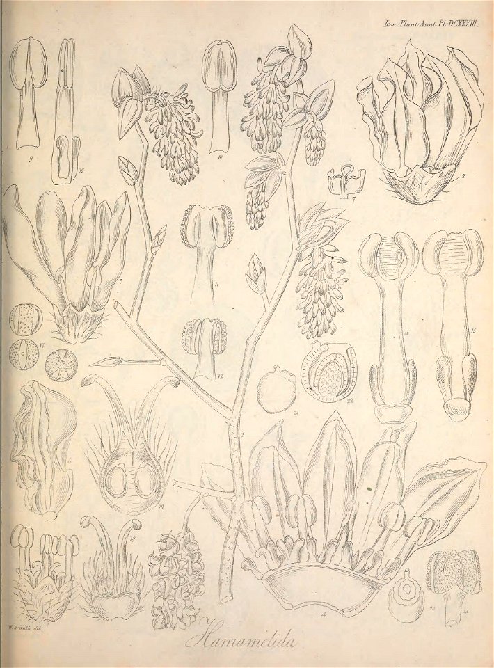 n574_w1150