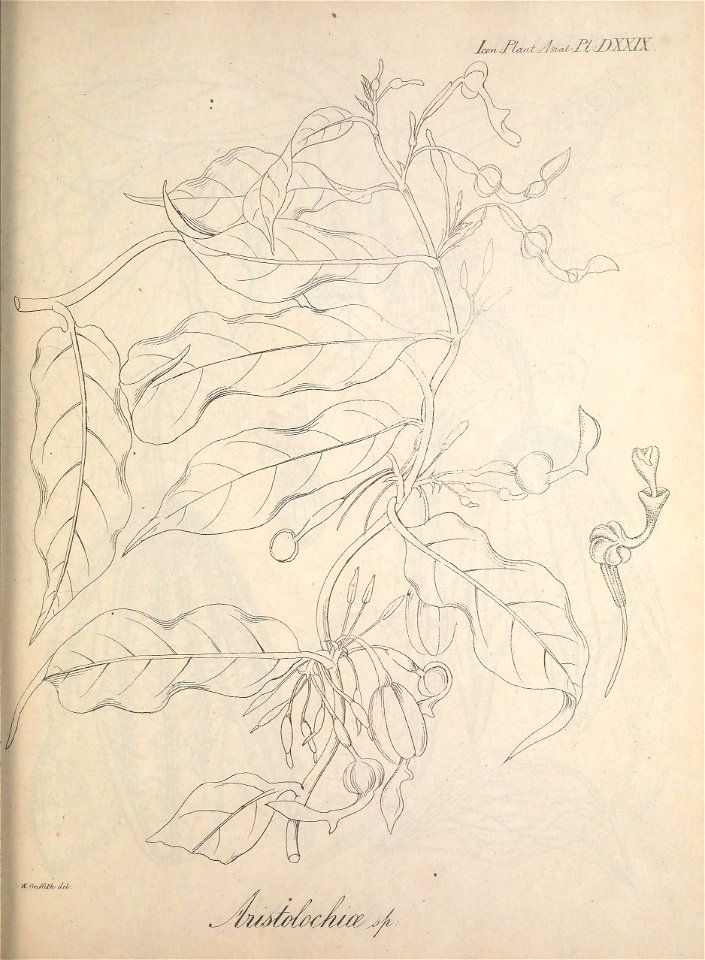 n364_w1150