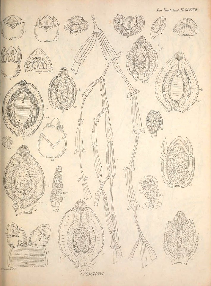 n572_w1150