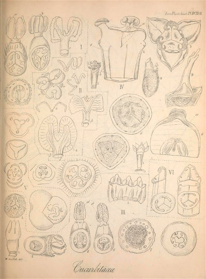 n542_w1150