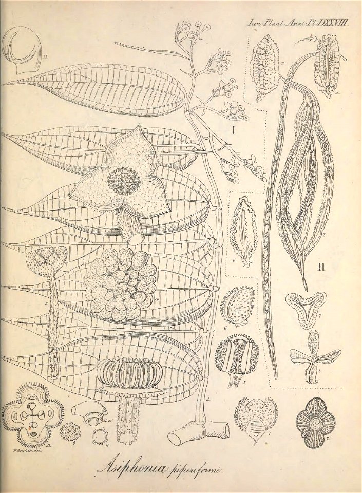 n362_w1150