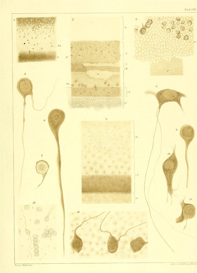 n330_w1150