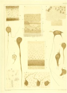 n330_w1150