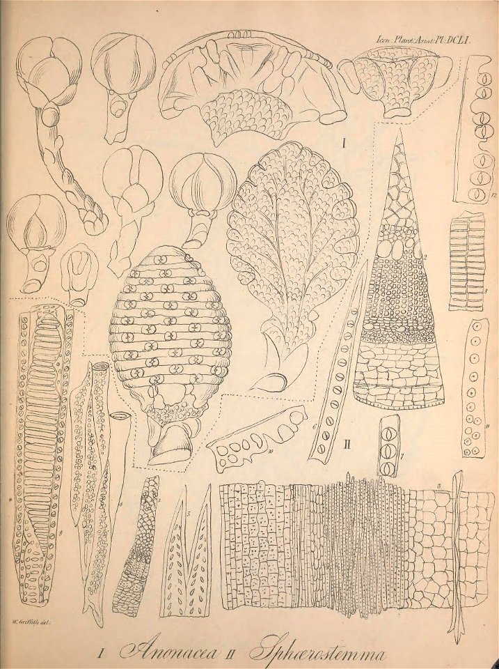 n614_w1150