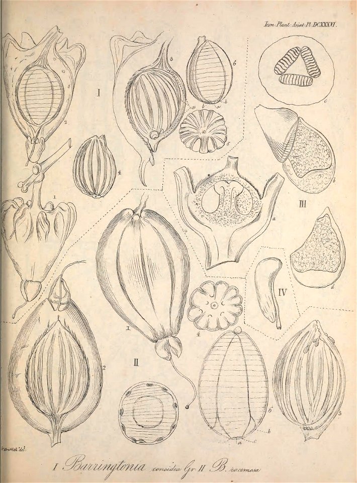 n582_w1150