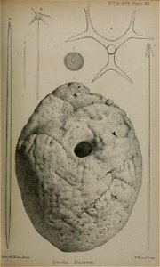 n238_w1150
