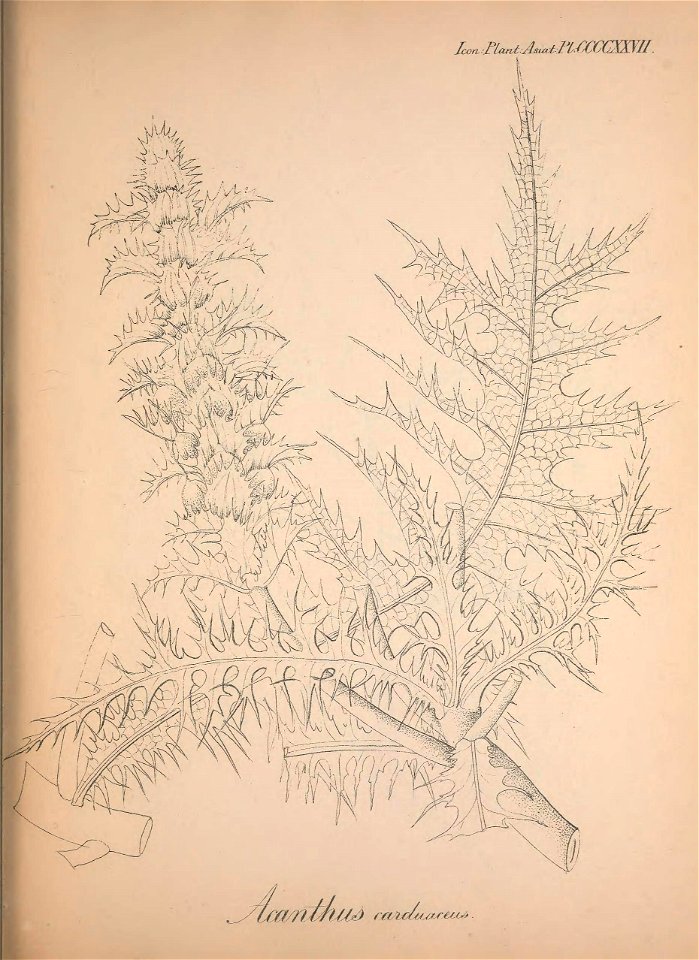 n158_w1150