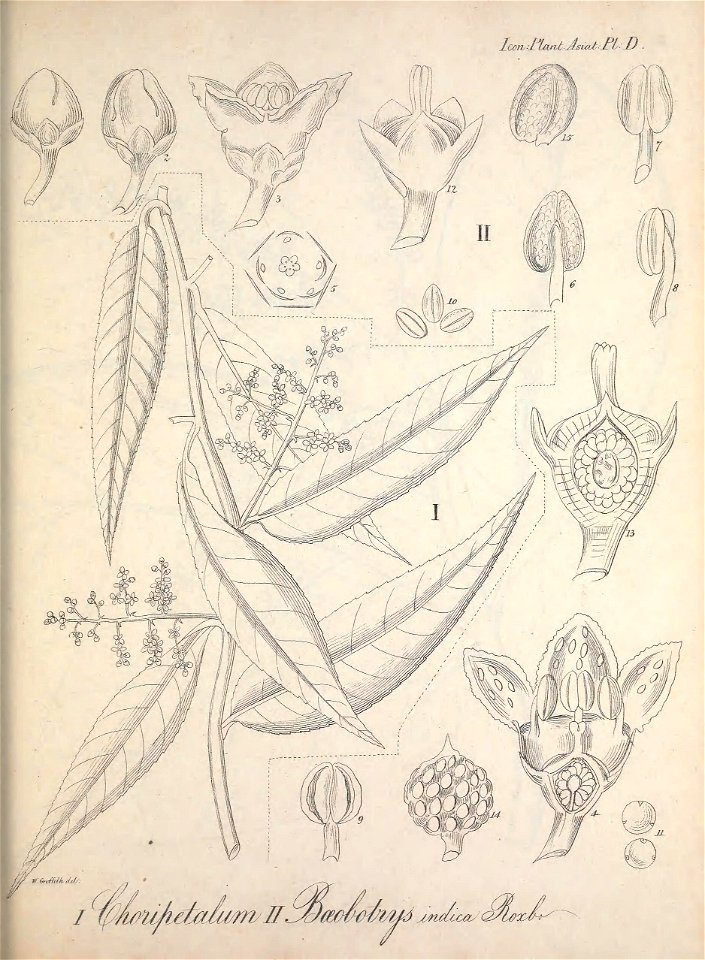 n304_w1150