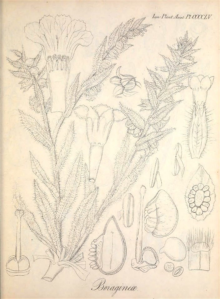 n214_w1150