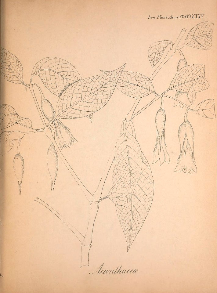 n154_w1150