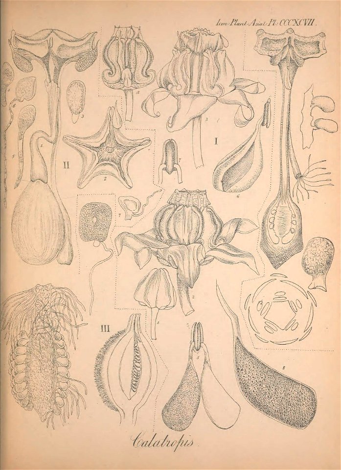 n92_w1150