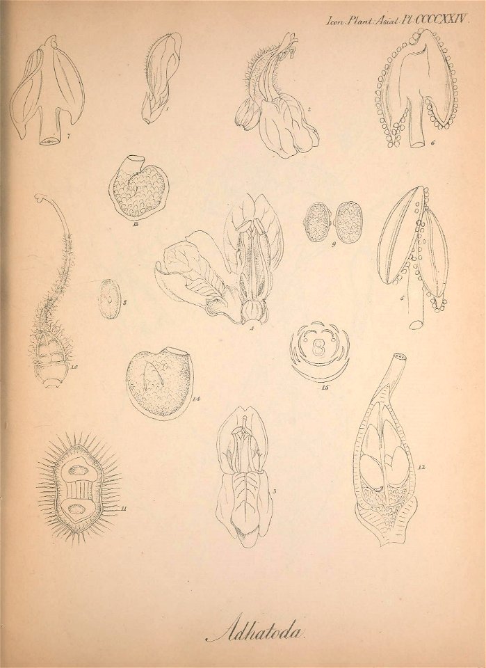 n152_w1150