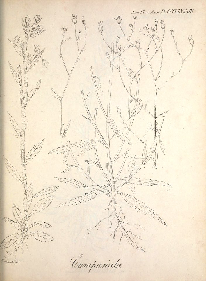 n270_w1150