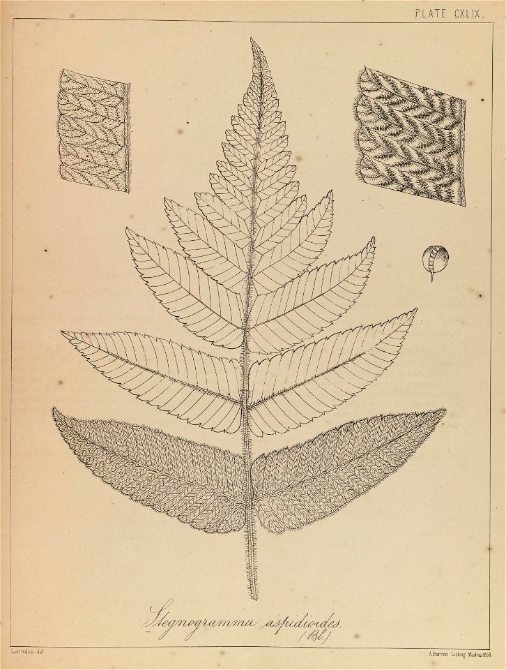 n298_w1150