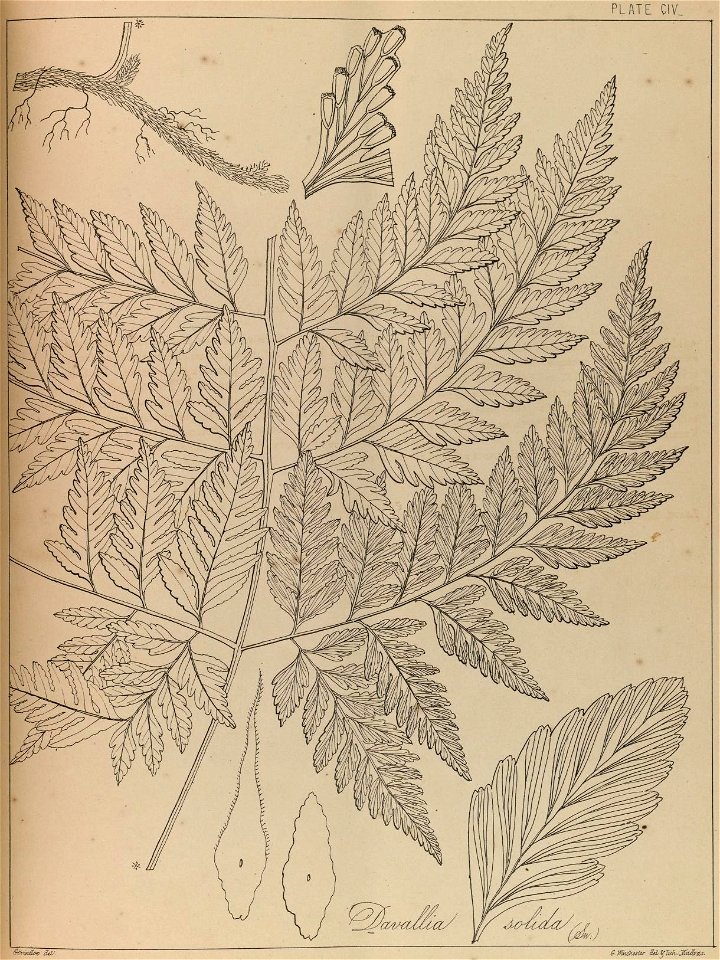 n208_w1150