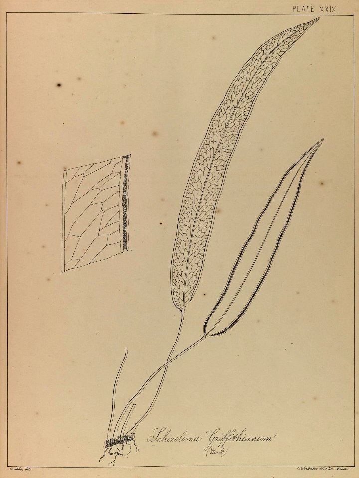 n58_w1150