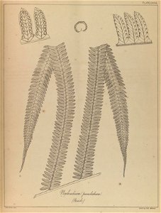 n262_w1150