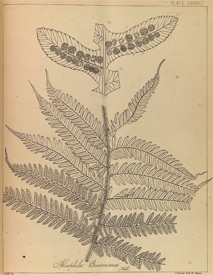 n172_w1150