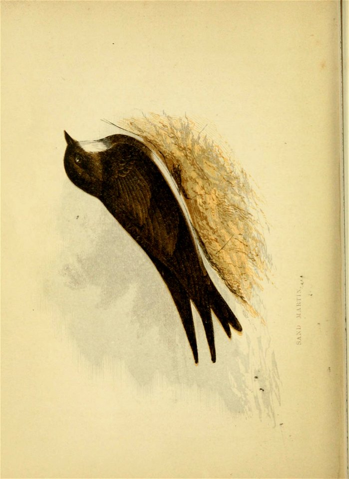 n505_w1150