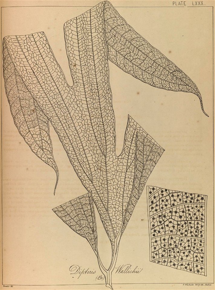 n160_w1150