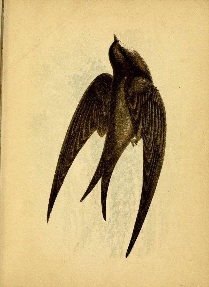 n508_w1150