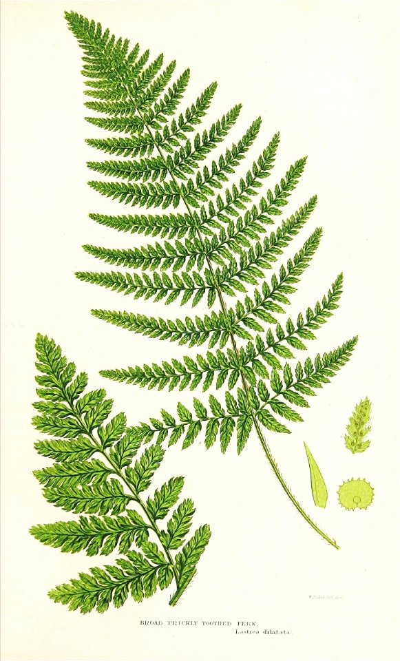 n120_w1150