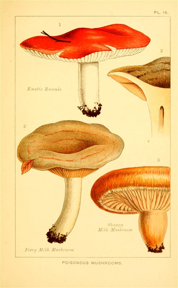 n152_w1150