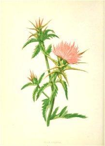 n95_w1150