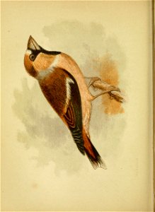 n459_w1150