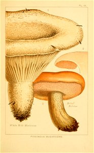 n158_w1150