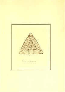 n110_w1150