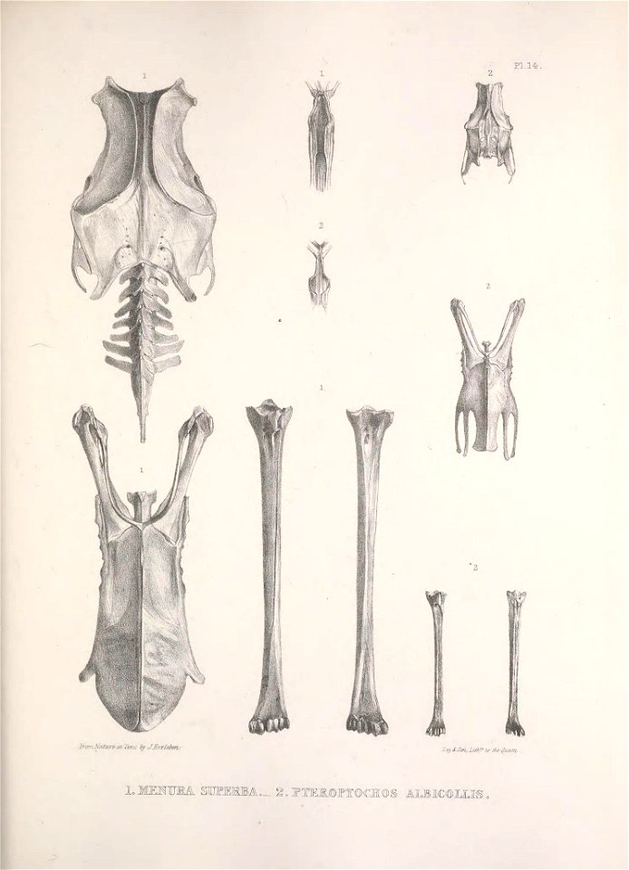 n182_w1150