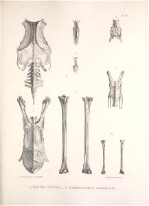 n182_w1150
