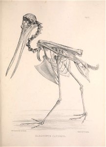 n122_w1150