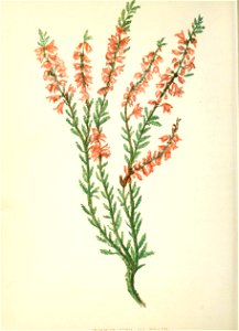 n171_w1150