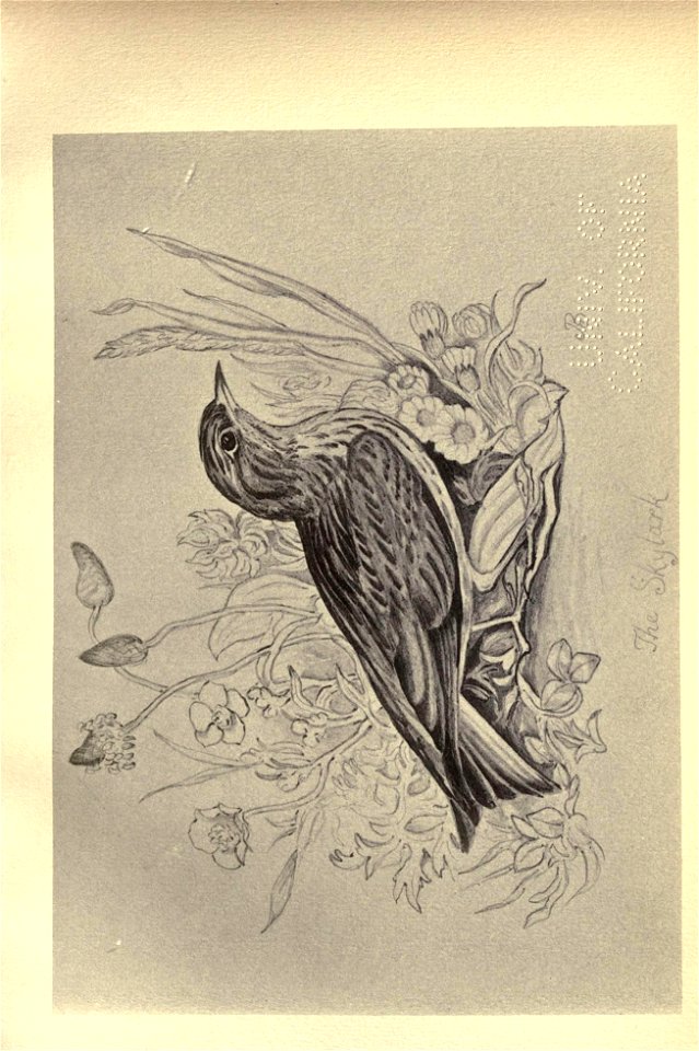 n150_w1150