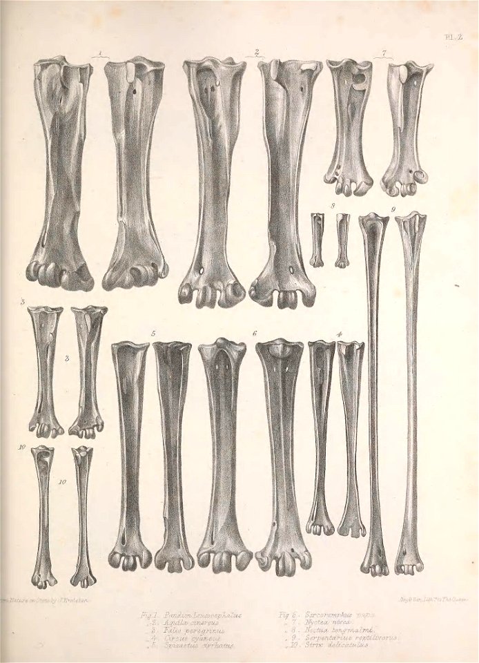 n158_w1150