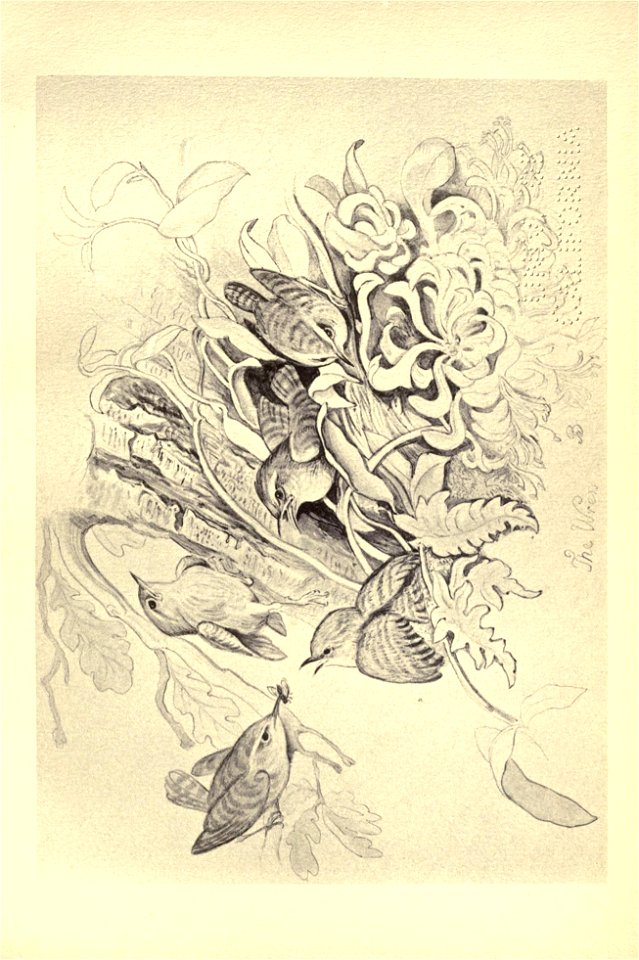n206_w1150