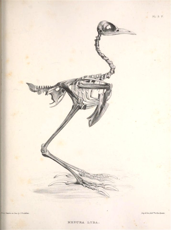 n68_w1150