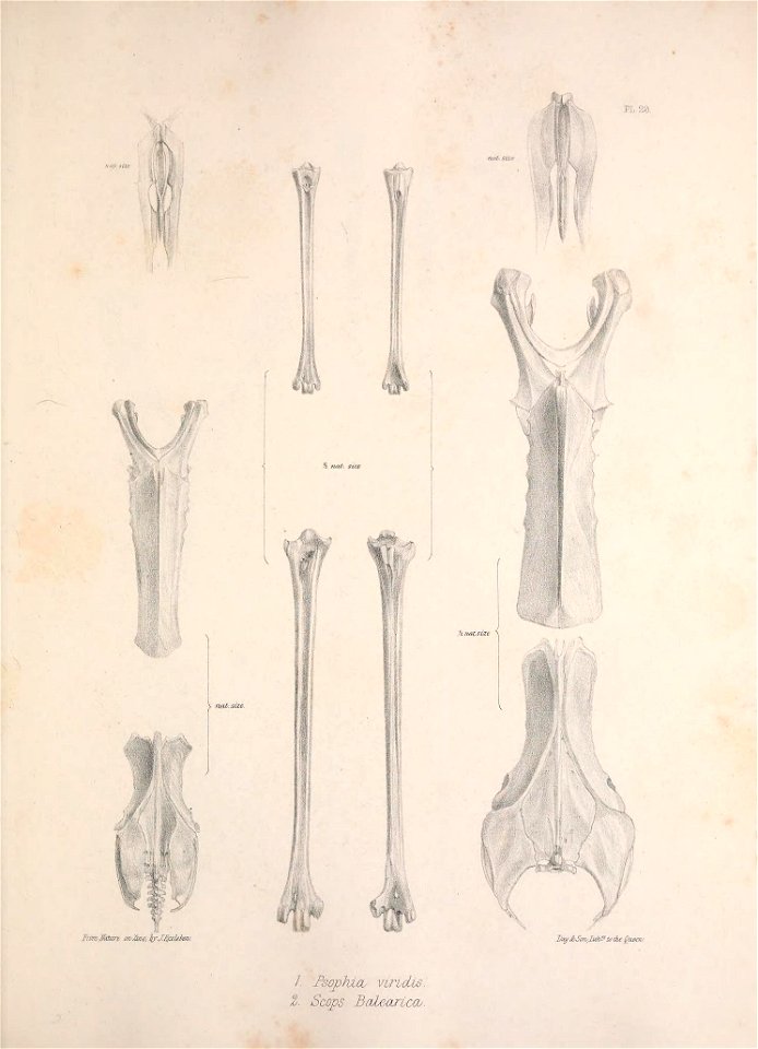 n216_w1150